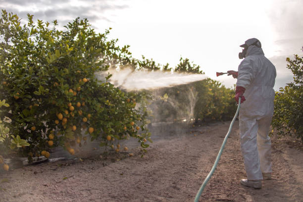 Fort Plain, NY Pest Control Company