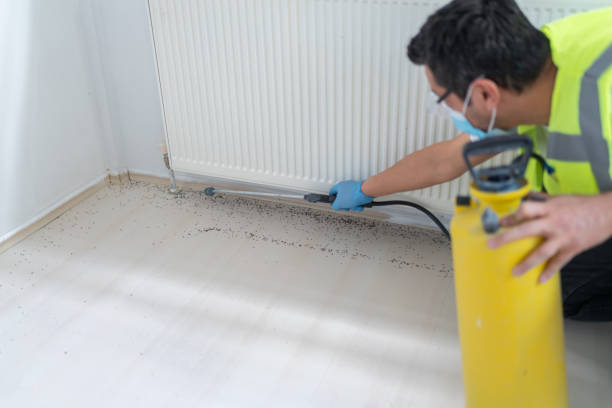 Best Best Pest Control Companies  in Fort Plain, NY