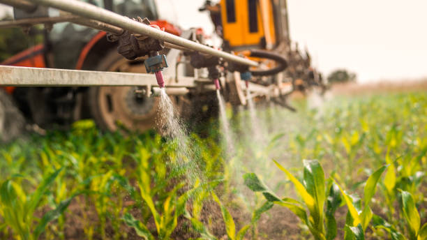 Best Best Pest Control Companies  in Fort Plain, NY
